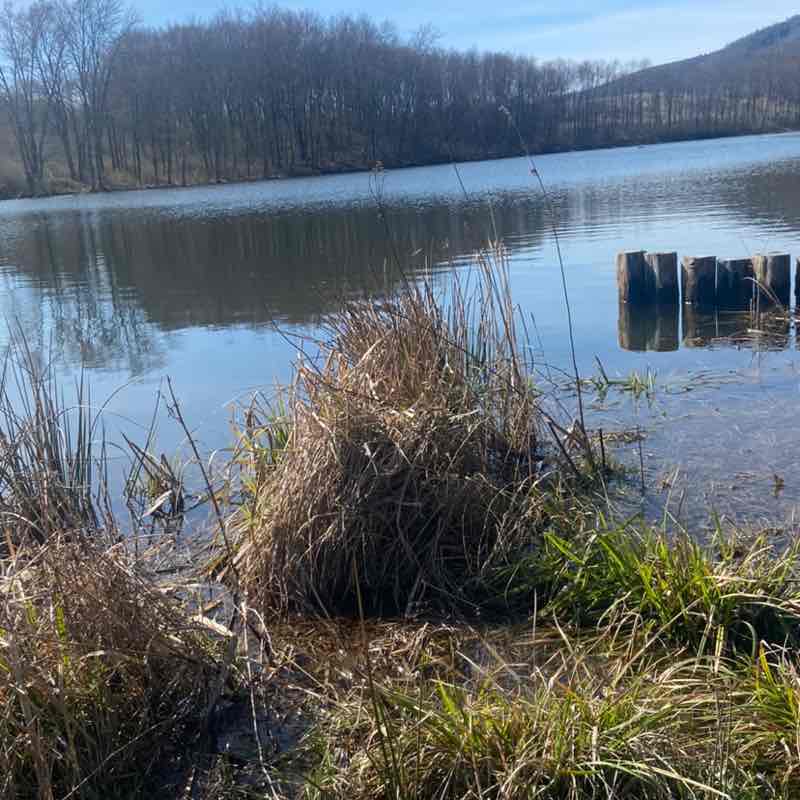 PacerGuy_1961 post 3