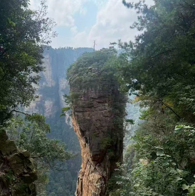 阿盧