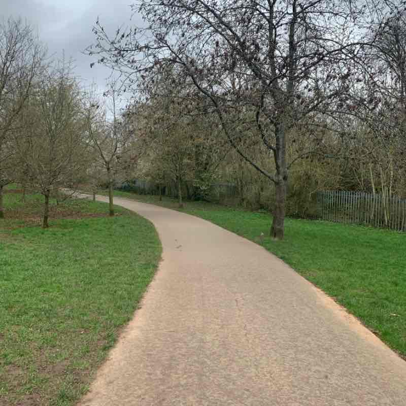 PacerGal_1948 post 1