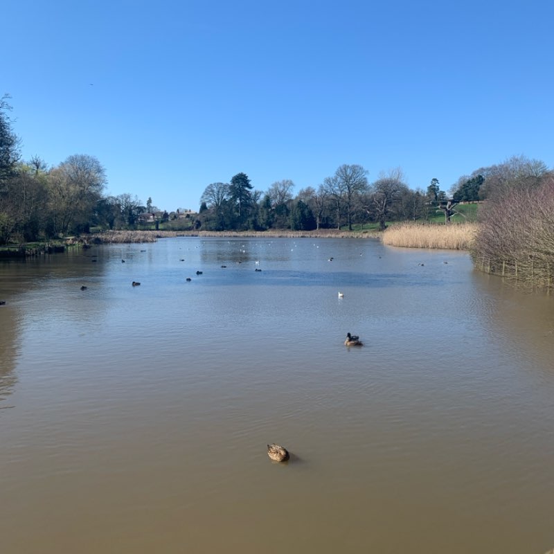 PacerGal_1948 post 3