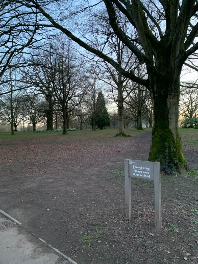 walking near me in War Memorial Park in spring