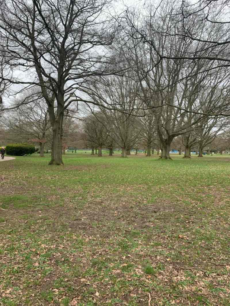 walking near me in War Memorial Park in spring