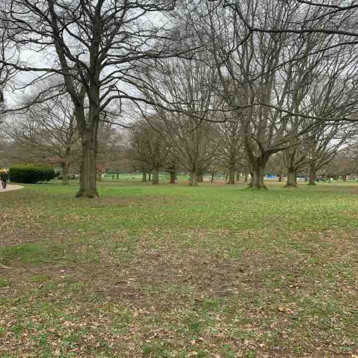 PacerGal_1948 post 3