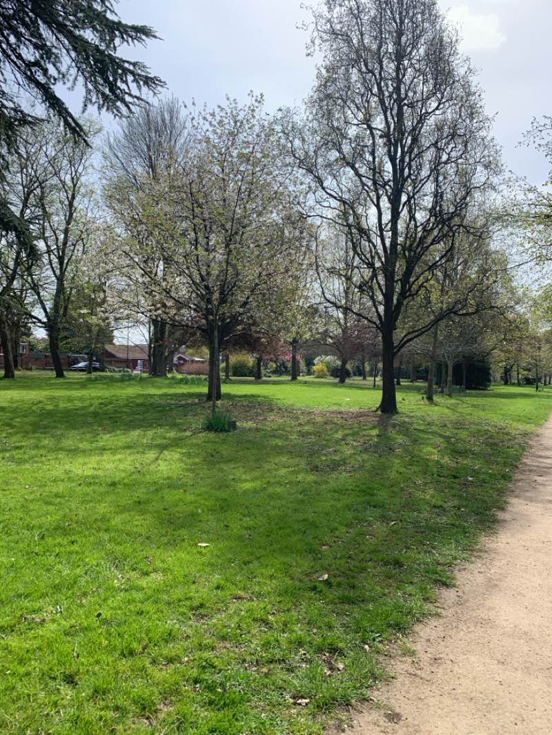 walking near me in Top Green Park in spring