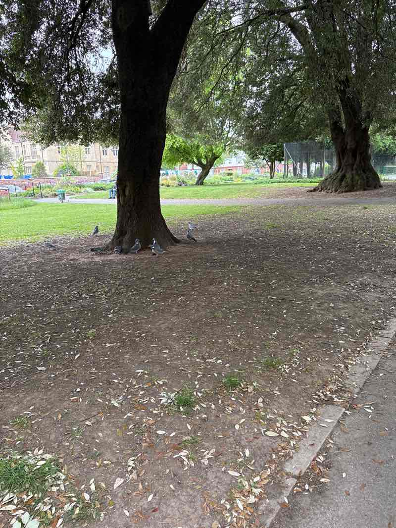 walking near me in Christchurch Gardens in spring