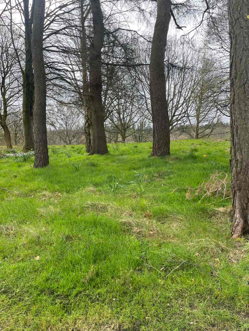 walking near me in Callendar Park in spring