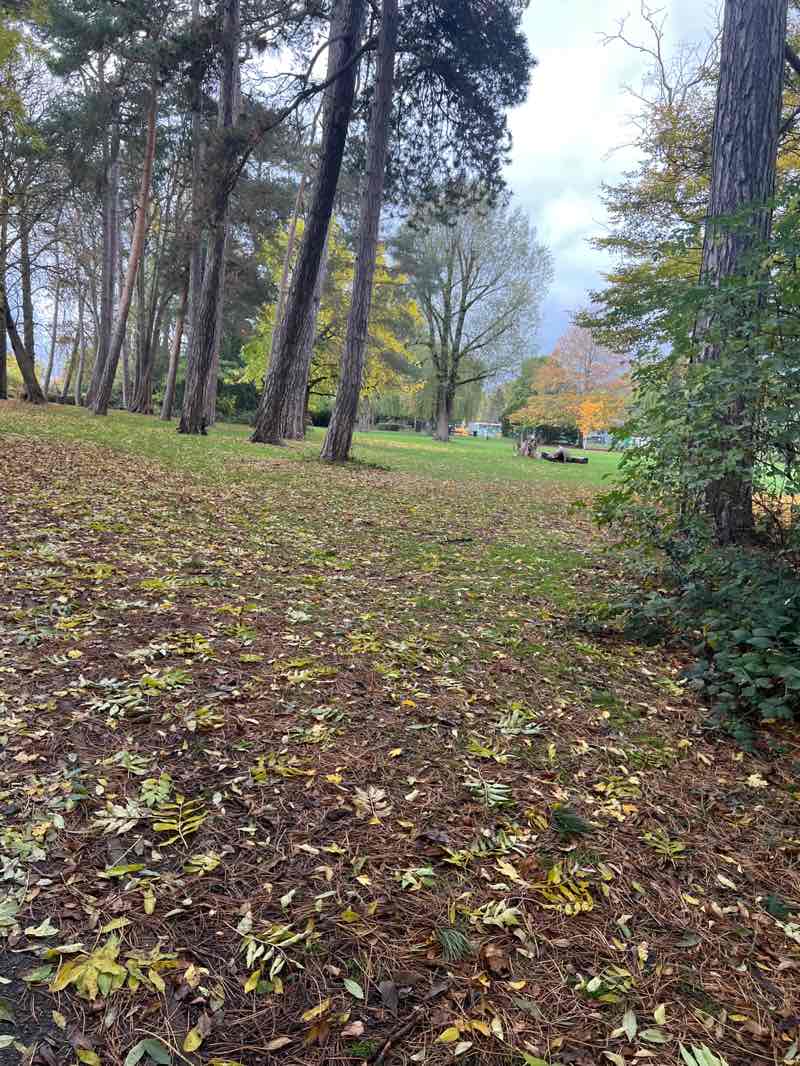 walking near me in Pinner Memorial Park in autumn