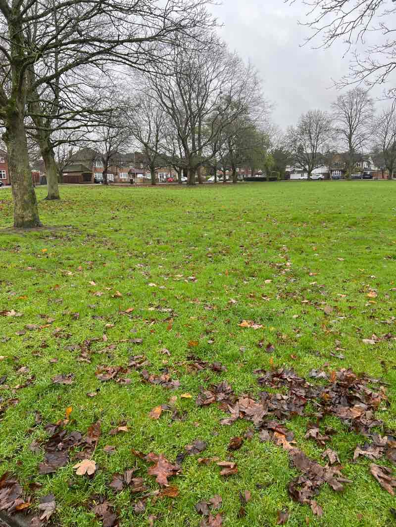 walking near me in Milton Court in winter