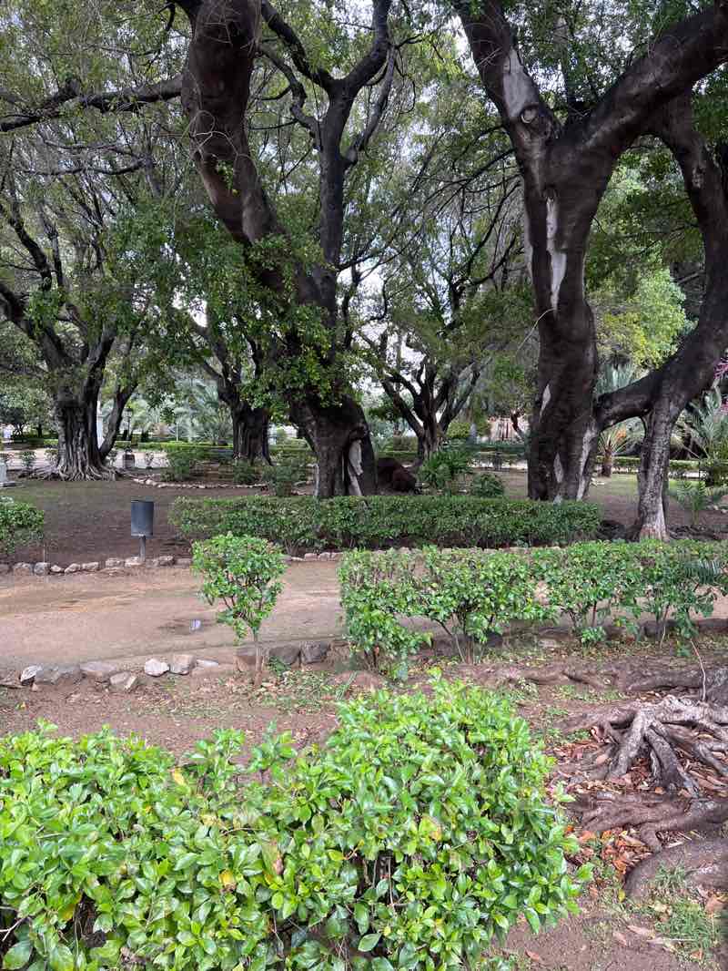 walking near me in Giardino Garibaldi in spring