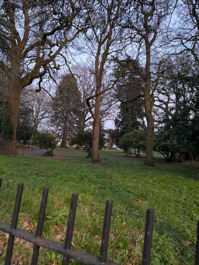 walking near me in The Cedars in spring