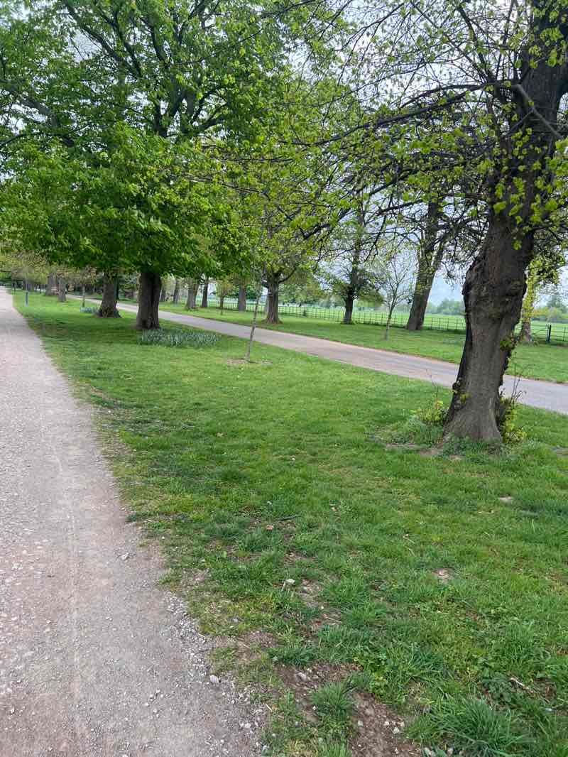 walking near me in Osterley Park in spring