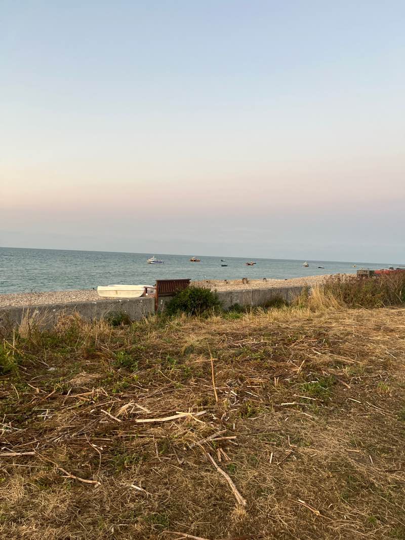 walking near me in Lifeboat Green. in autumn