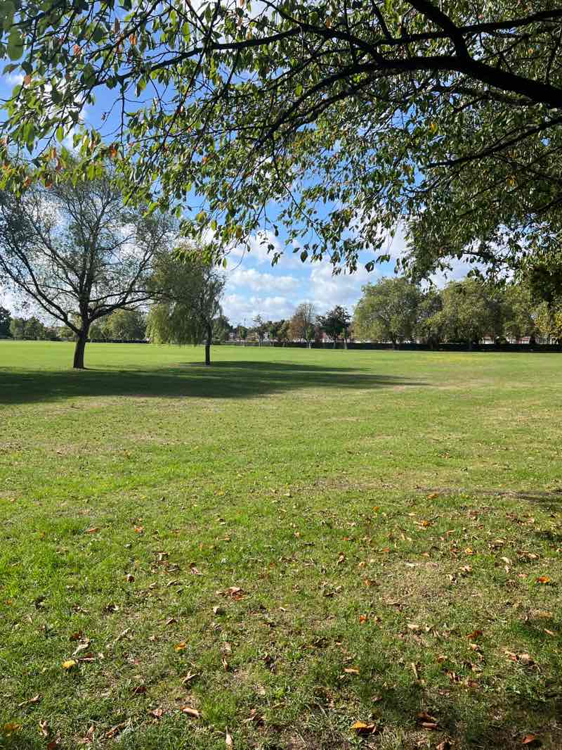 walking near me in Centenary Park in autumn