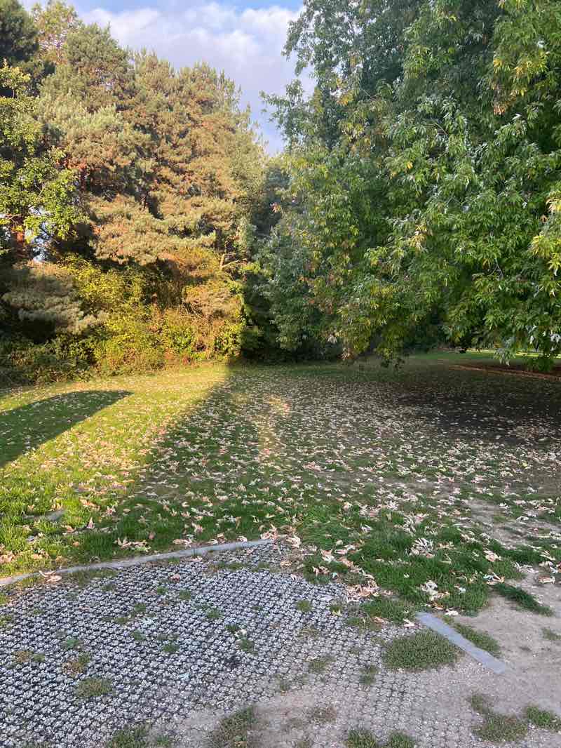walking near me in Canons Park in autumn