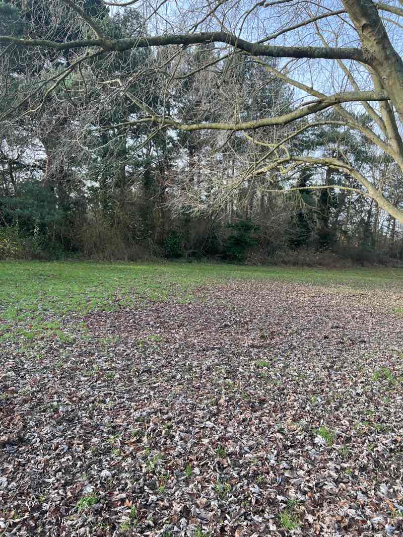 walking near me in Canons Park in winter
