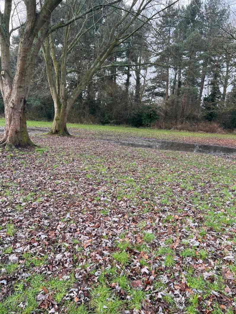 walking near me in Canons Park in winter