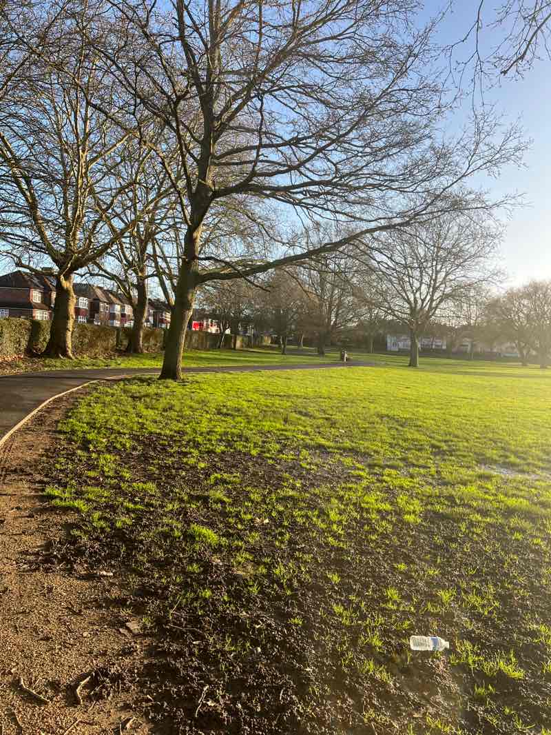 walking near me in Centenary Park in winter