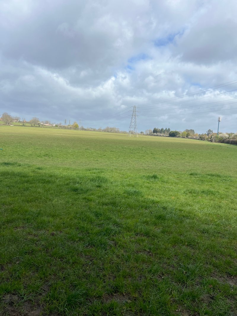 walking near me in Shaftesbury Playing Fields in spring