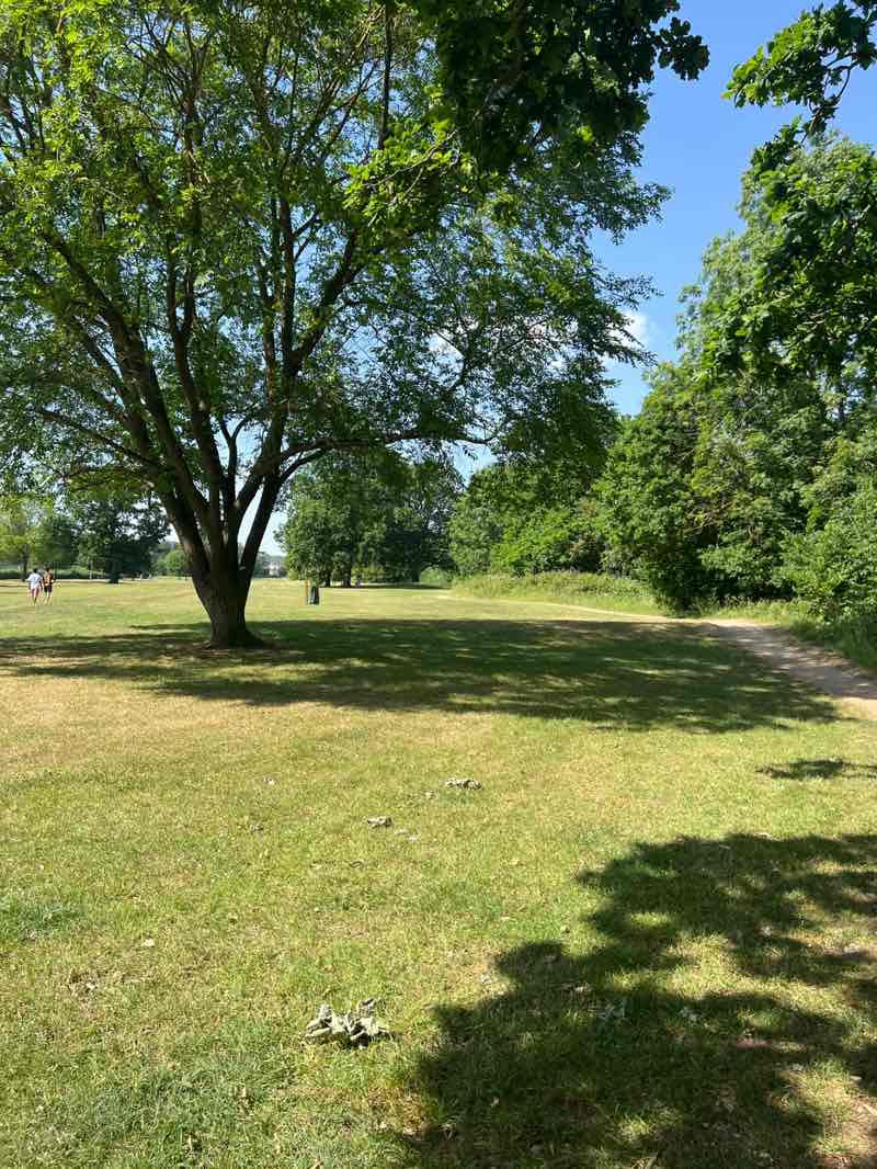 walking near me in Canons Park in summer