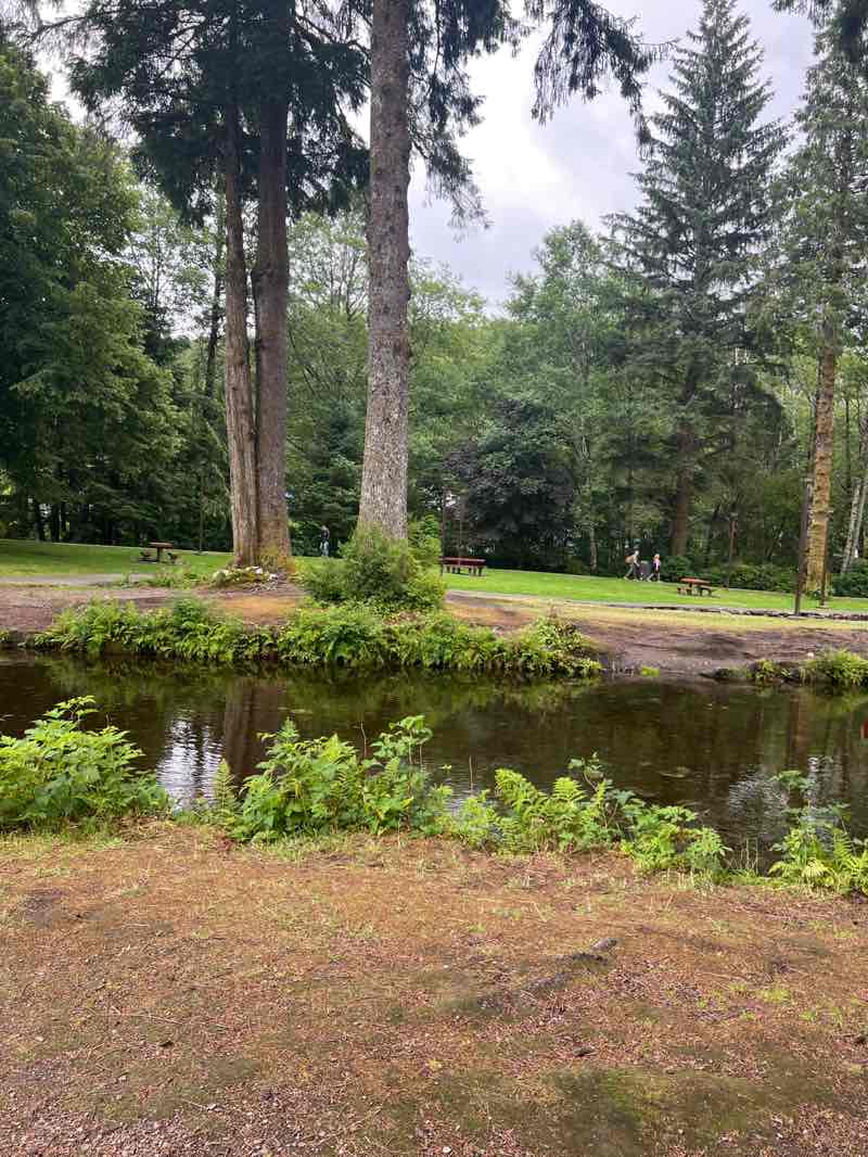 walking near me in City Park in summer