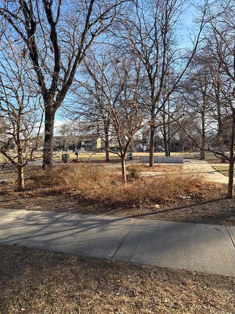 walking near me in Dailey Park in winter