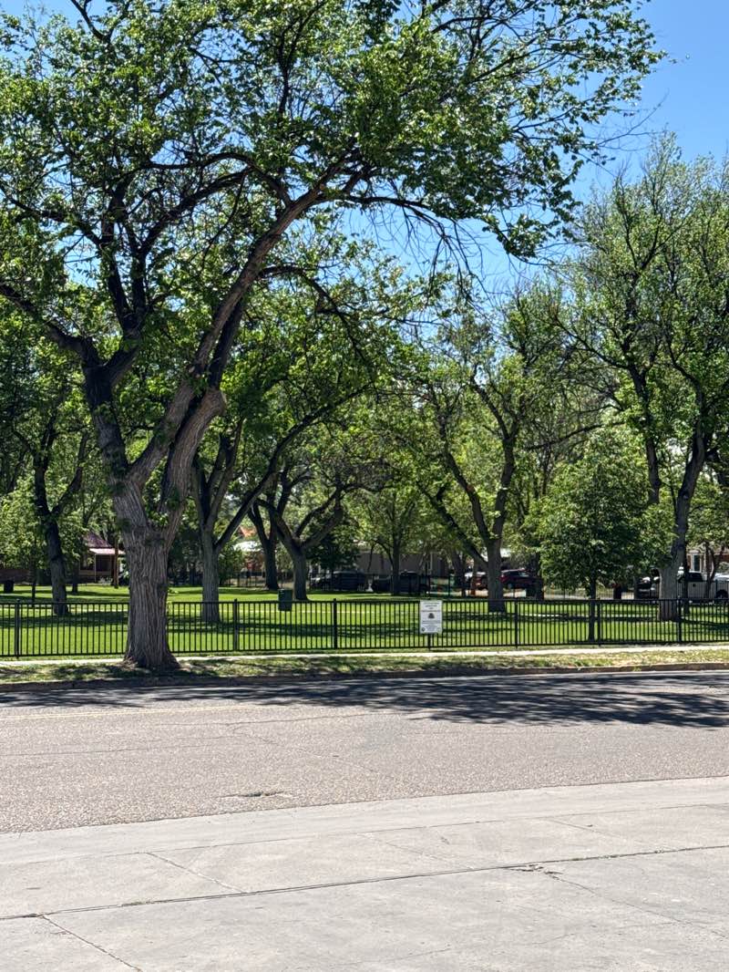 walking near me in Lincoln Park in summer