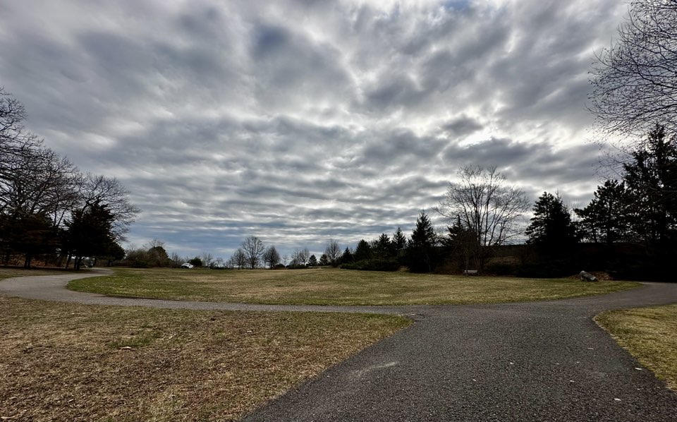 walking near me in Abigail Adams State Park in spring