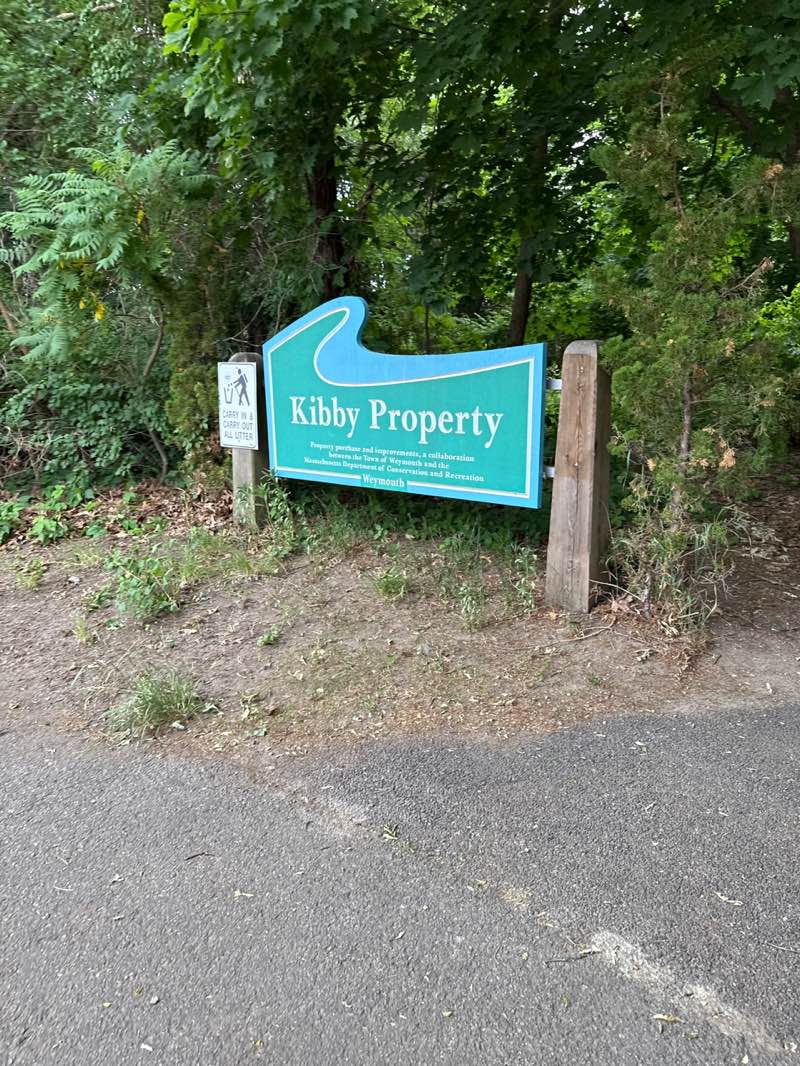 walking near me in Kibby Property in summer