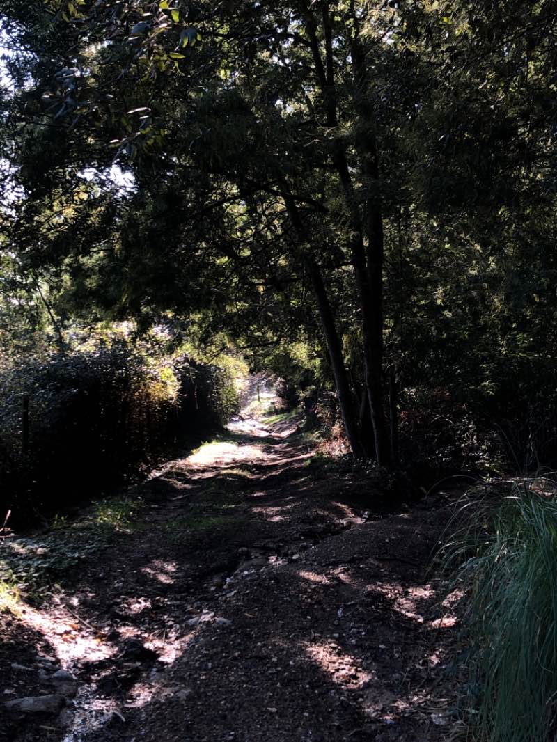 walking near me in Europarque in winter
