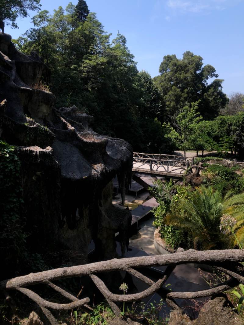 walking near me in Parque Infantil da Quinta do Castelo in autumn