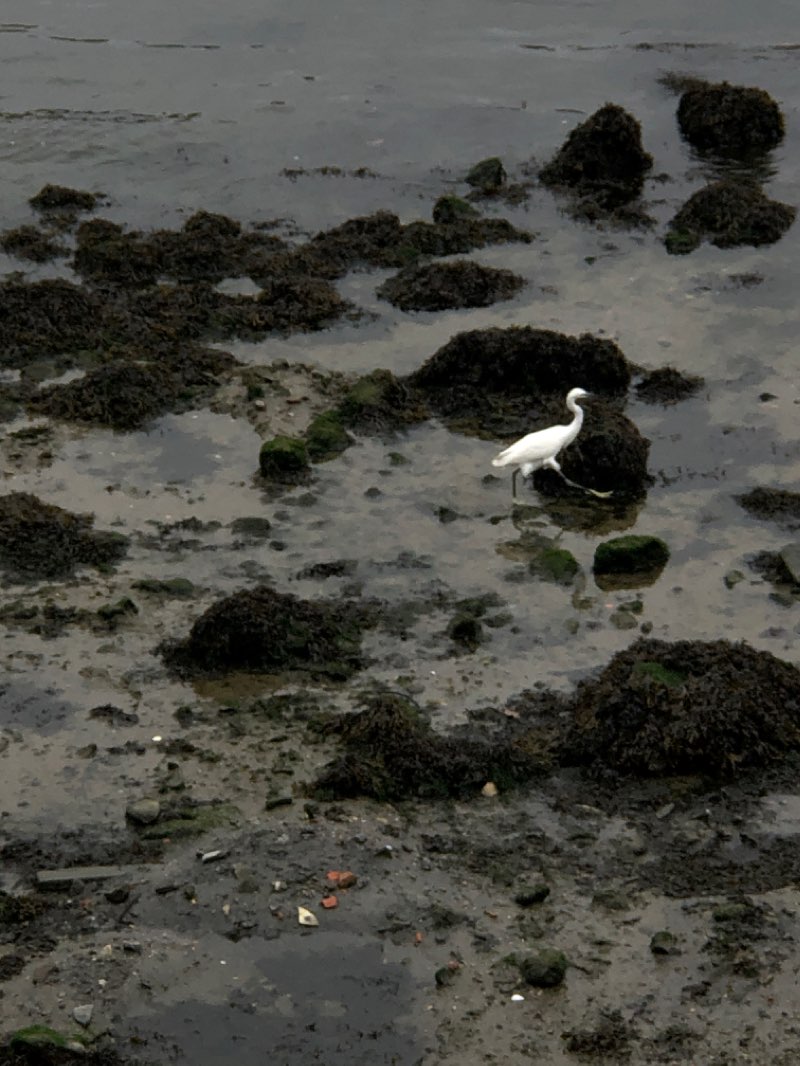 walking near me in Jardim da Alameda do Senhor da Pedra in autumn