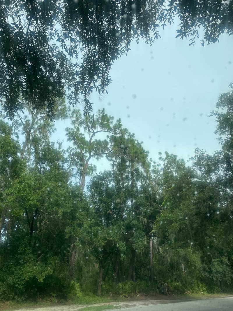 walking near me in Stephen J. Wortham County Park in summer