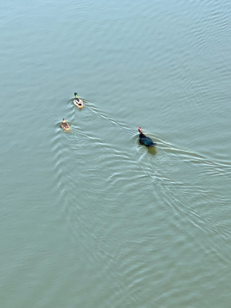 walking near me in Augusta Riverwalk in winter