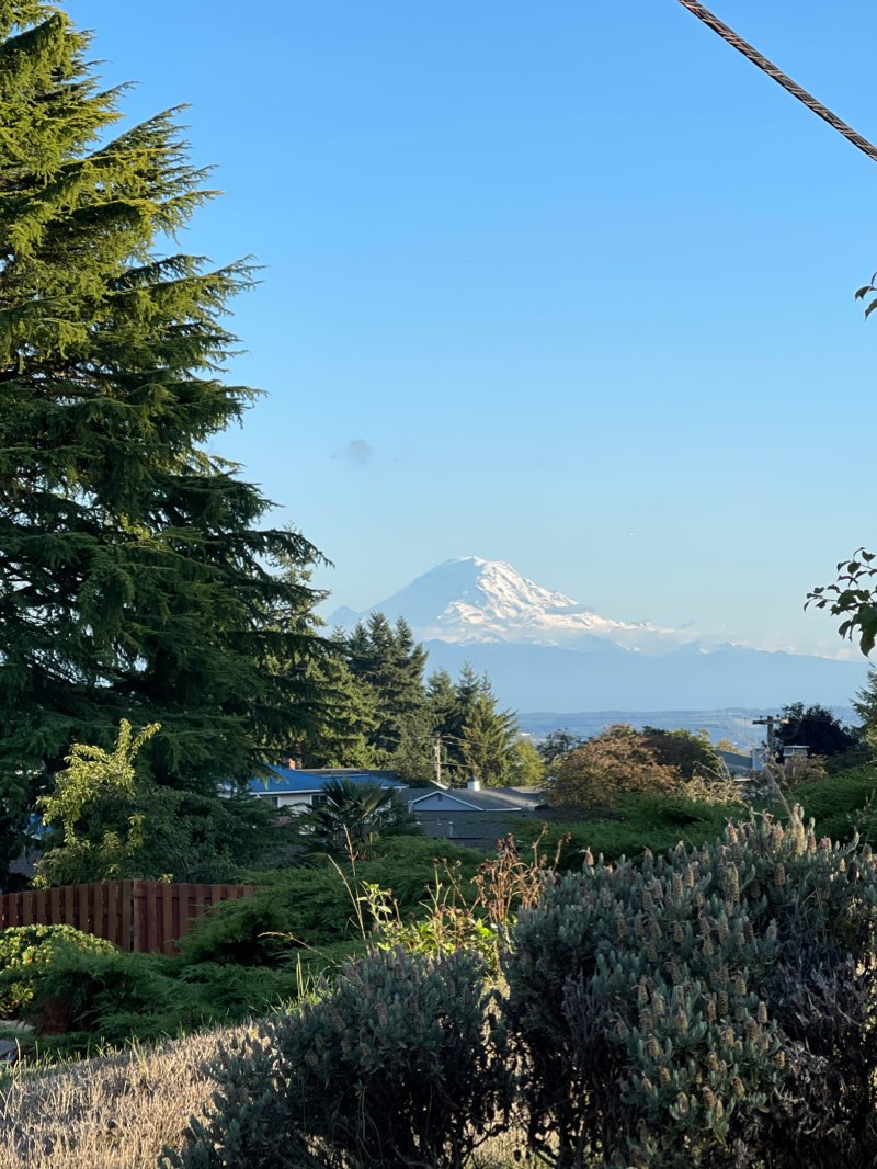 walking near me in West Fenwick Park in winter