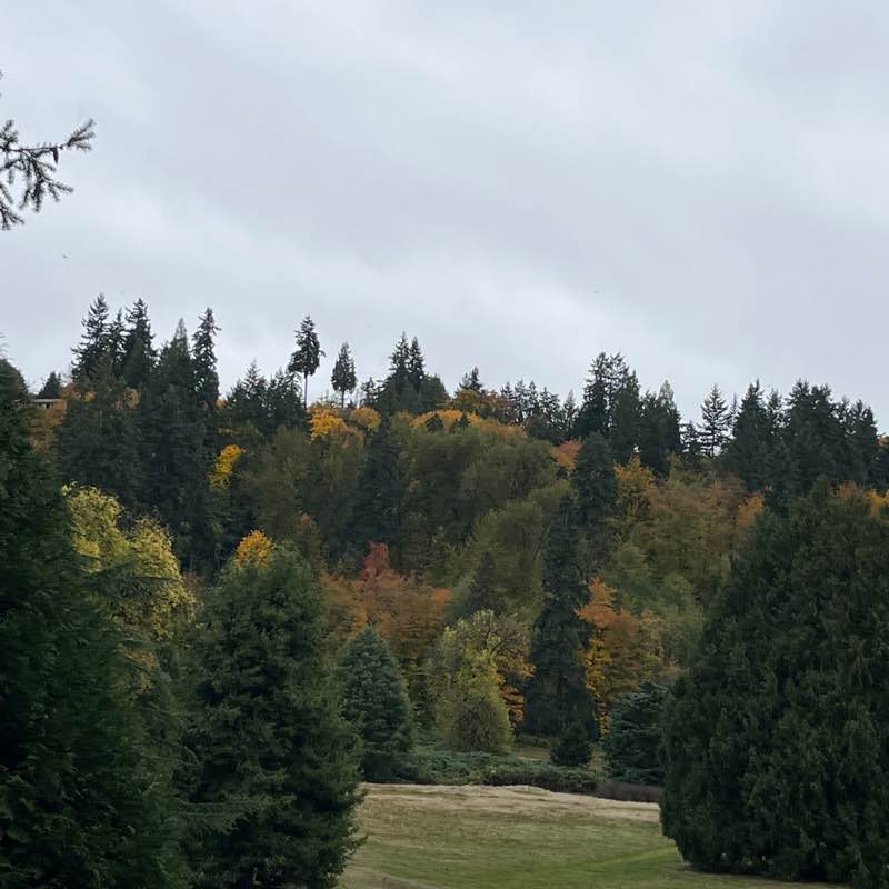 🏞️ RobinAlwaysWalks post 1