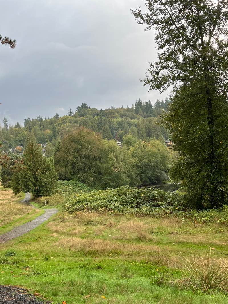 walking near me in Blyth Park in autumn