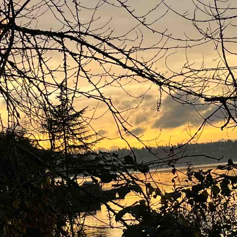 🏞️ RobinAlwaysWalks post 2