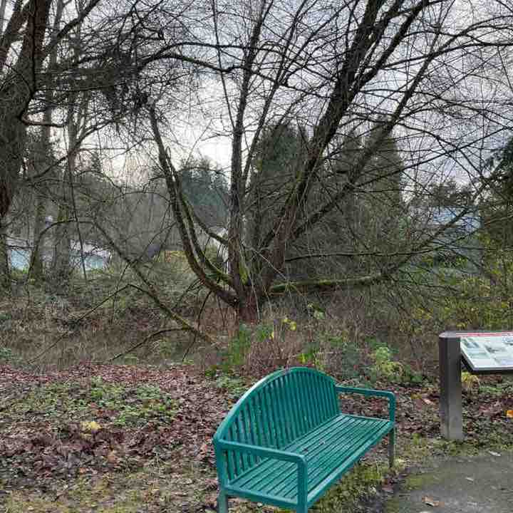 🏞️ RobinAlwaysWalks post 3