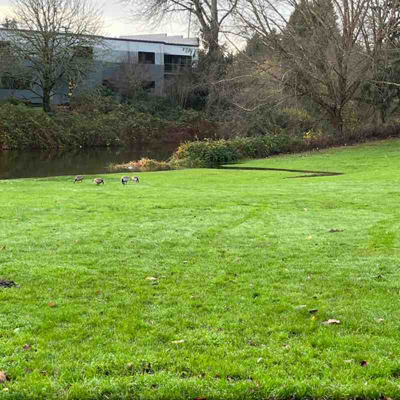 🏞️ RobinAlwaysWalks post 1