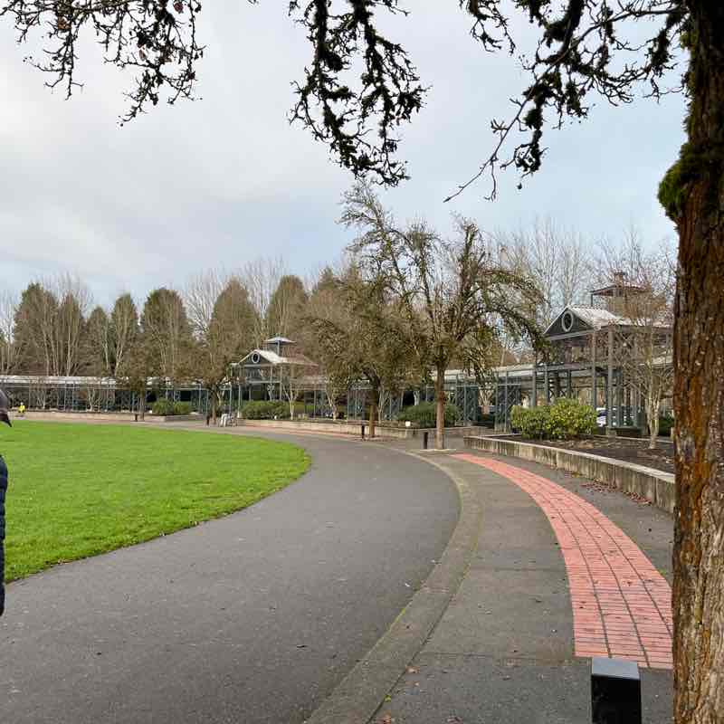 🏞️ RobinAlwaysWalks post 2