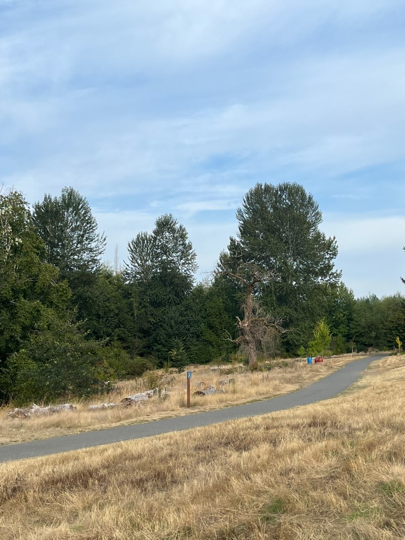 walking near me in Juanita Bay Park in autumn