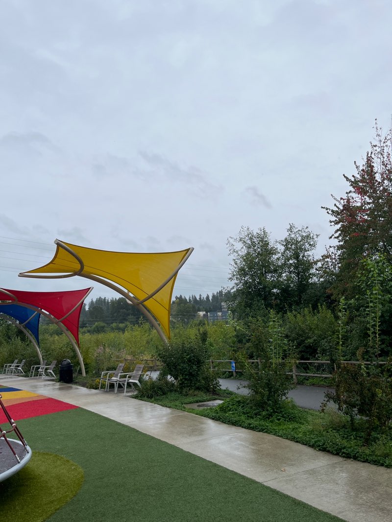 walking near me in Totem Lake Park in autumn