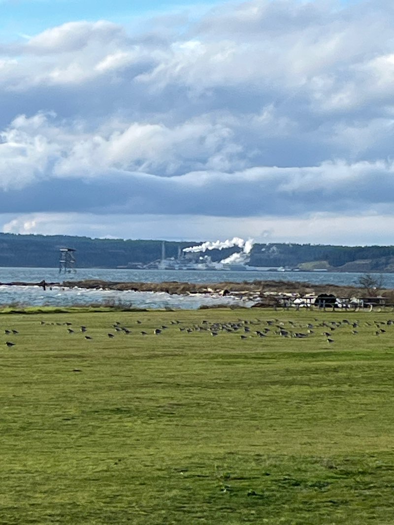 walking near me in Fort Flagler State Park in winter