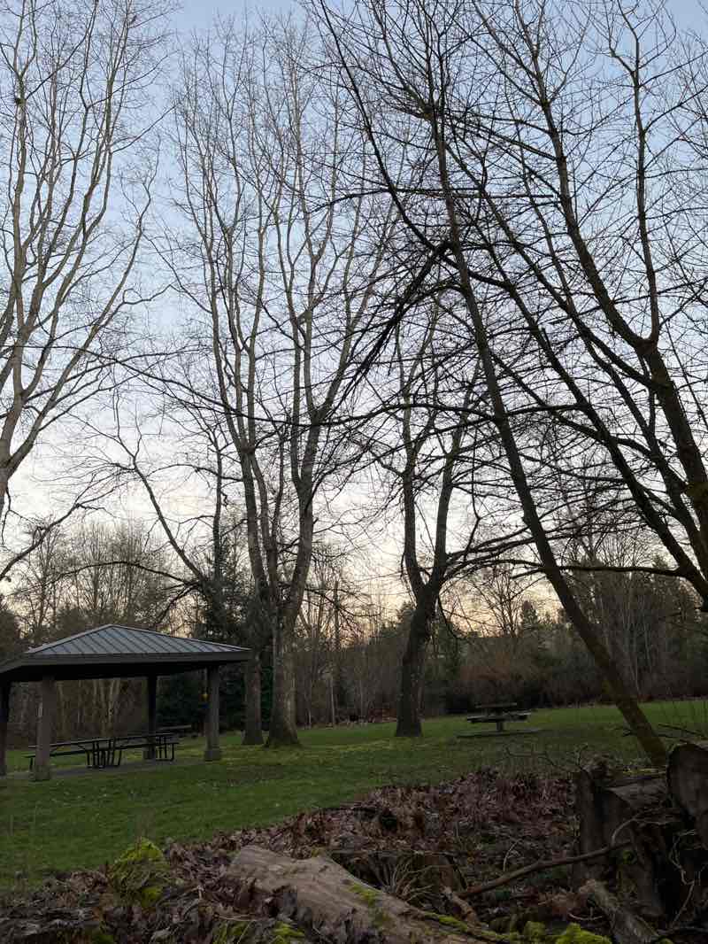 walking near me in Woodin Creek Park in winter