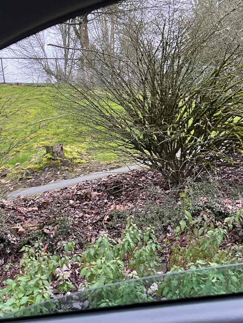 walking near me in Brickyard Road Park in winter