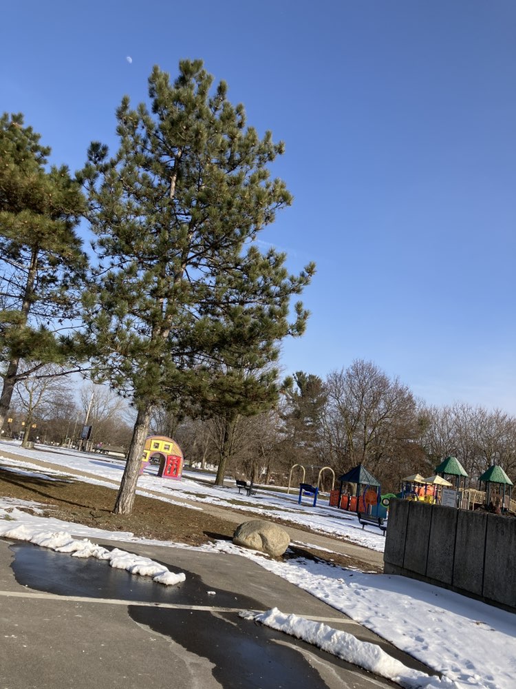 walking near me in McHattie Park in winter