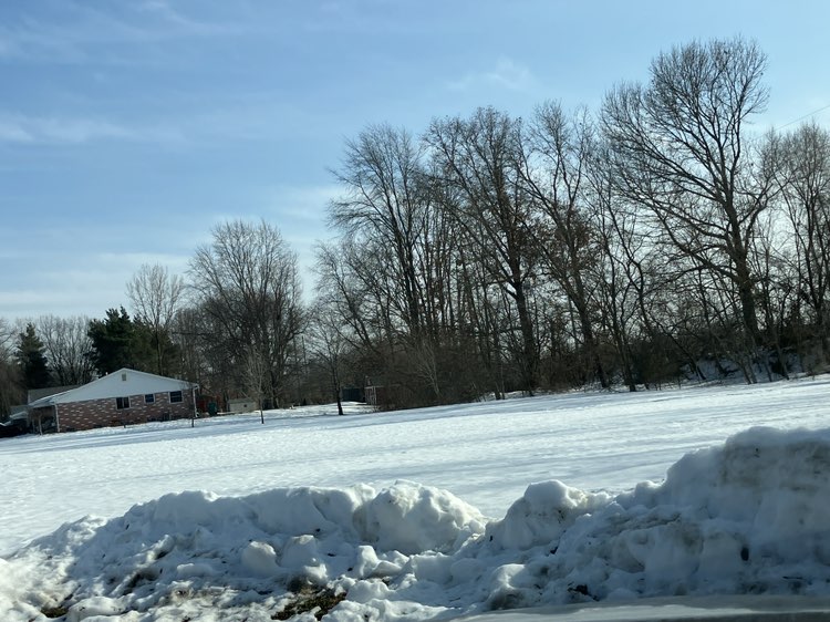 walking near me in Kissane Park in winter