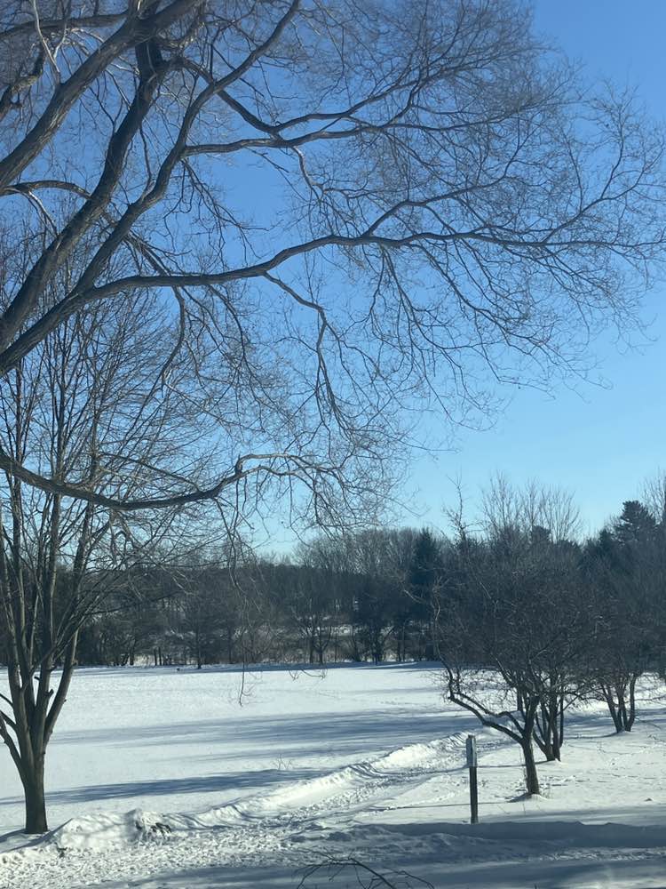 walking near me in Coleman Park in winter