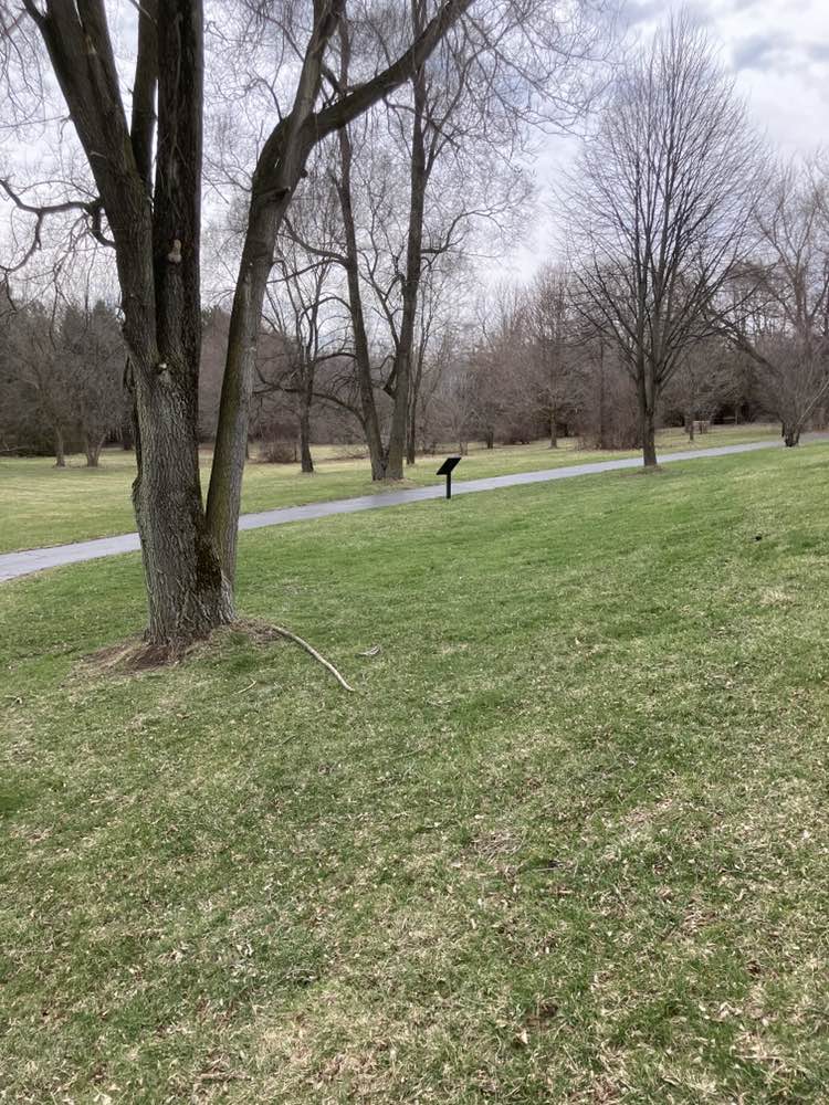 walking near me in Coleman Park in spring