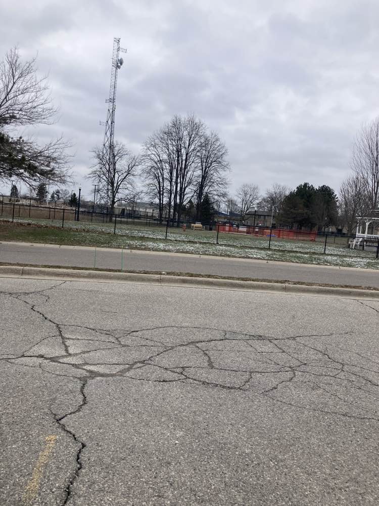 walking near me in Countryside Veterinary Dog Park in spring